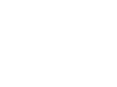 使命